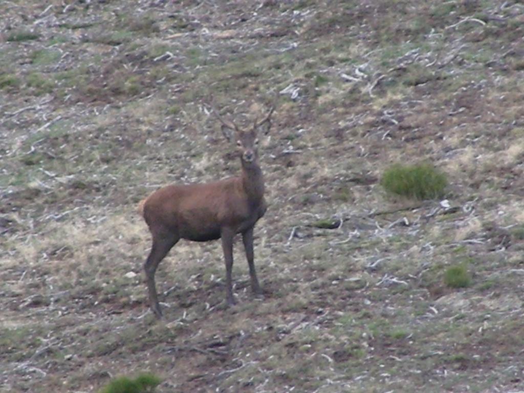 El Invernal De Picos Portilla de la Reina Dış mekan fotoğraf